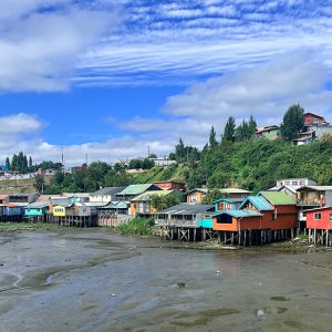 Full Day Chiloé: Historia, Cultura y Naturaleza Viva
