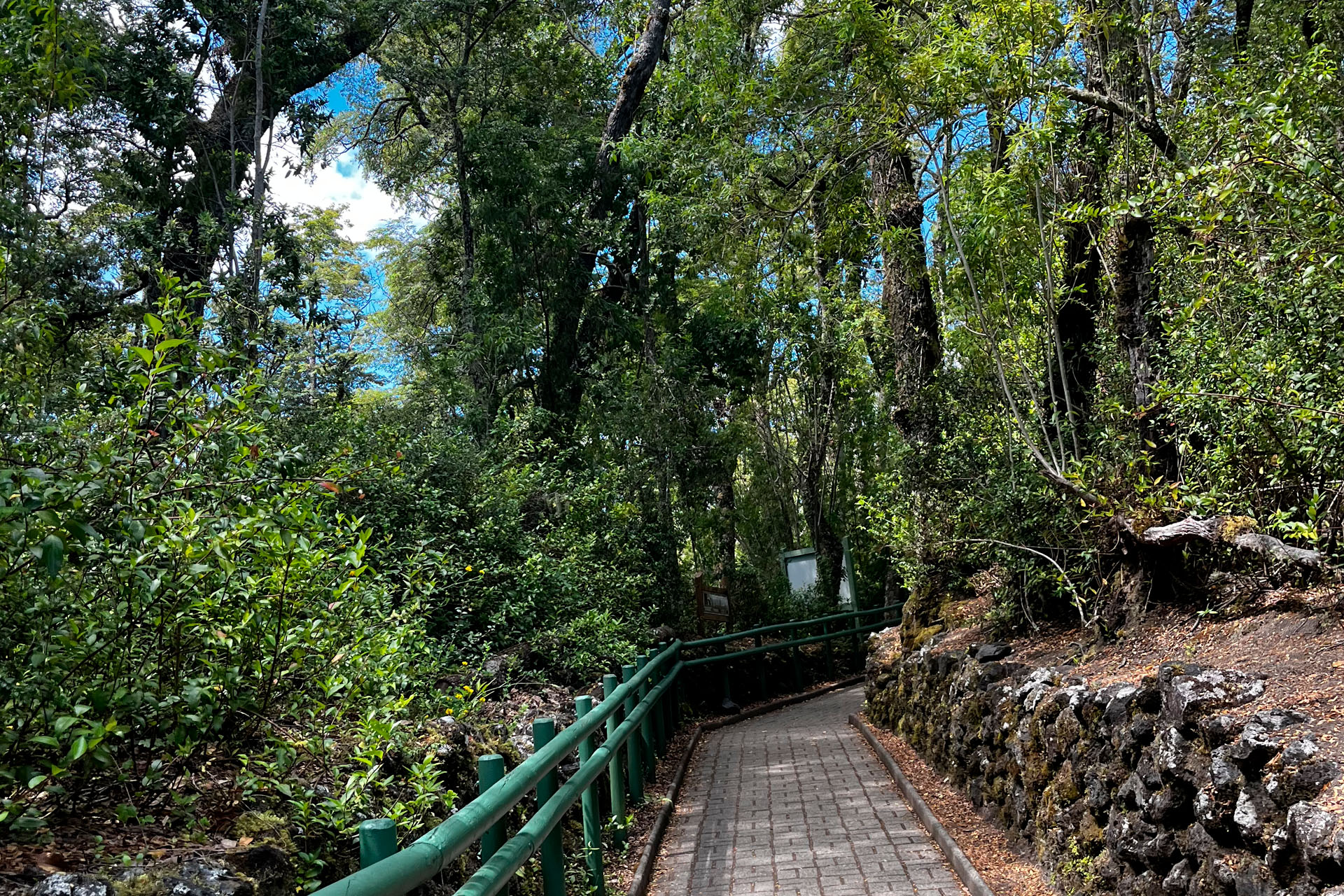 web-Lagunaverde4.jpj