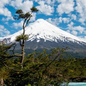 Full Day: Naturaleza y Aventura en el Parque Nacional Vicente Pérez Rosales