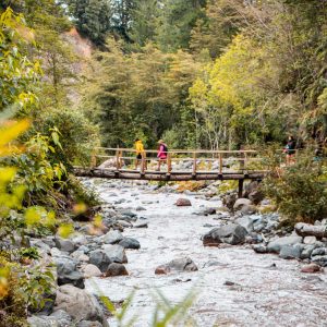 Full Day: Ruta Patrimonial del Lago Llanquihue