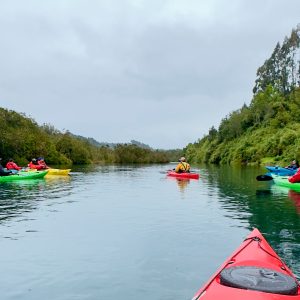 Full Day Chiloé: Aventura Río Maullín y Relajo en Cancagua